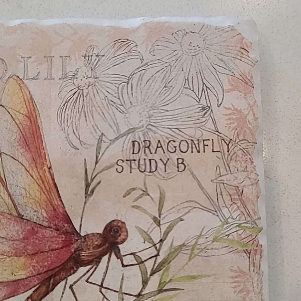 Dragonfly Wild Lily Coaster
